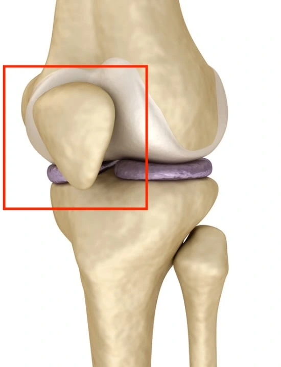 Real root cause of knee pain